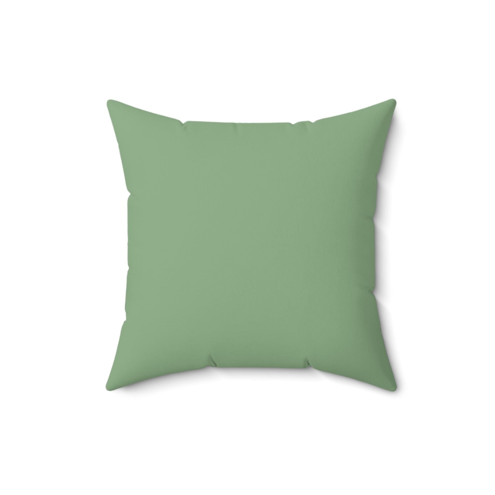 Sage-age Faux Suede Pillow set