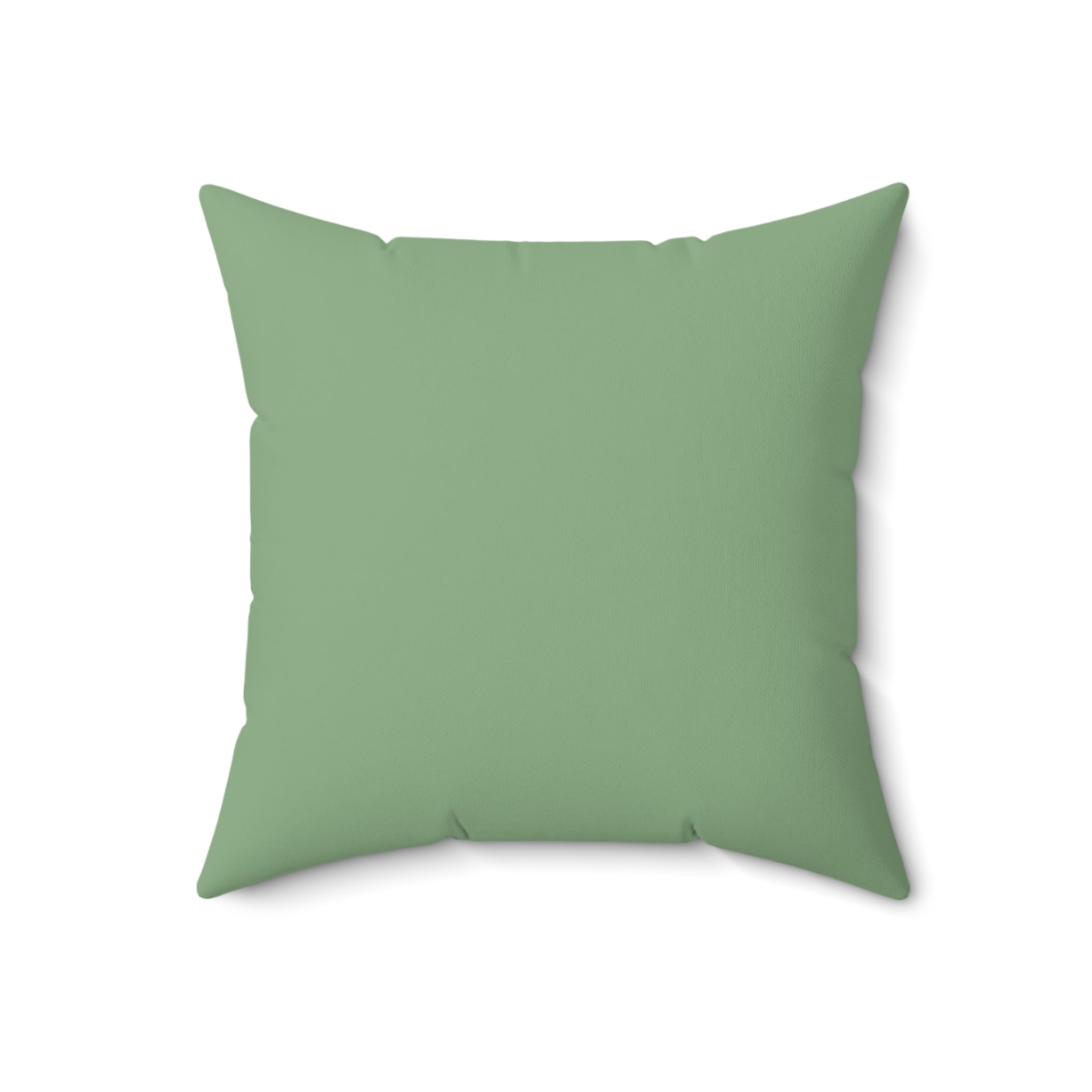 Sage-age Faux Suede Pillow set